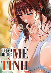 Thảo Dược Mê Tình